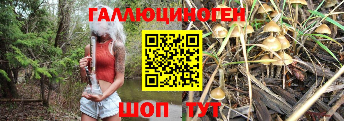 Сургут  Галлюциногенные грибы Psilocybe  Вход с VPN 