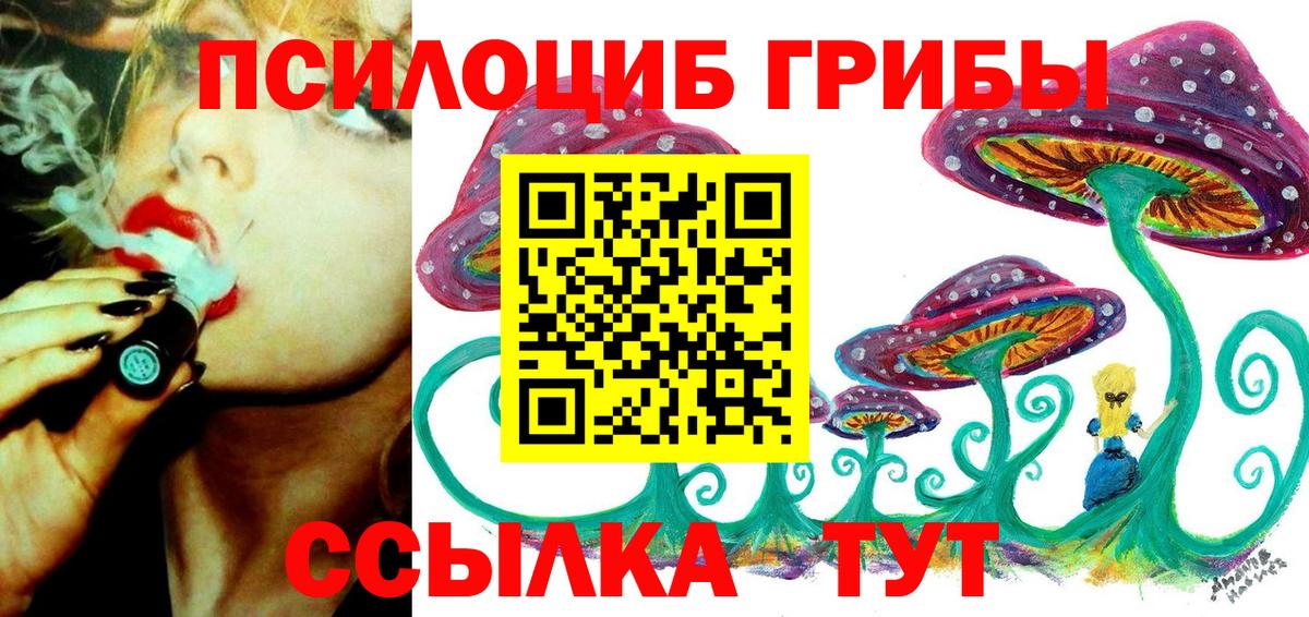 Галлюциногенные грибы Psilocybe Сургут